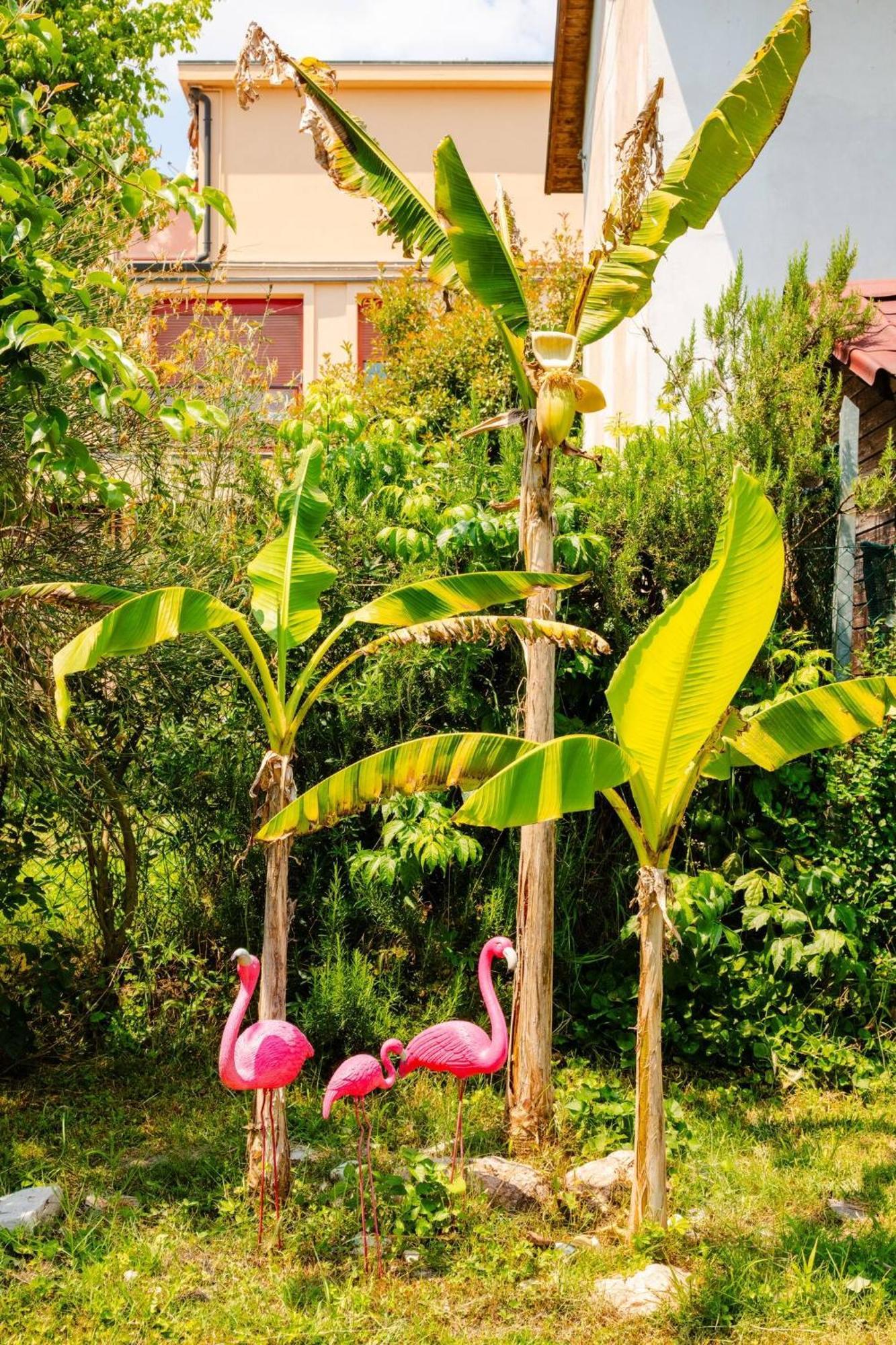 Garden Loft Bed & Breakfast Baricella Ngoại thất bức ảnh